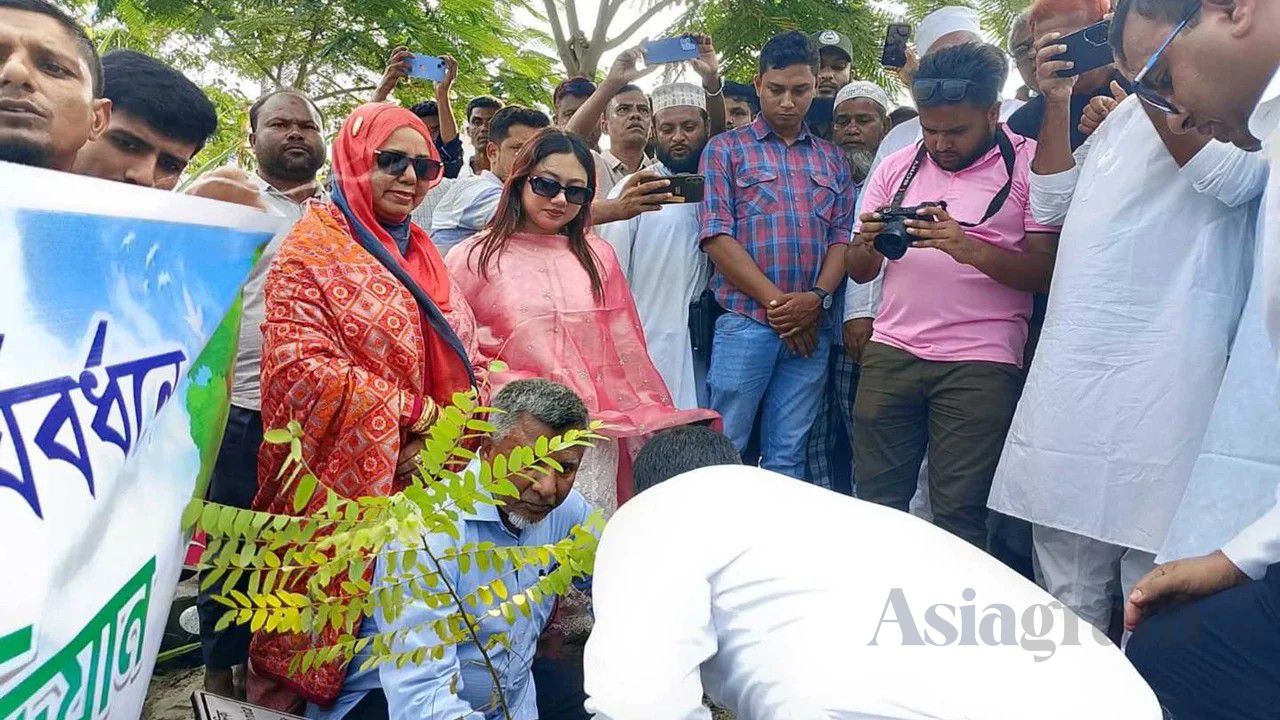 Plant more trees to combat climate change: State Minister Bari