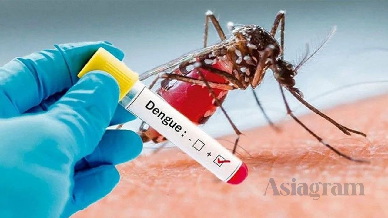 Dengue claims 7 more lives in 24 hours, total deaths reach 171