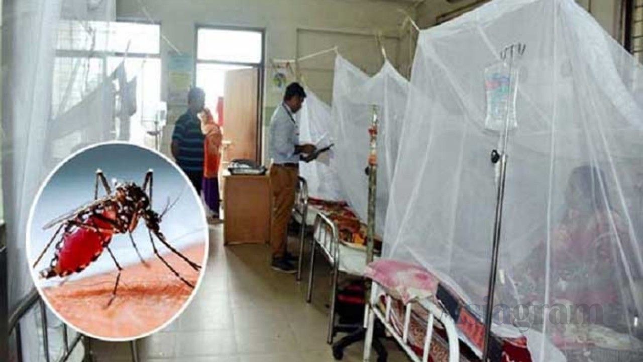 Dengue spreads in rural areas as hospitals struggle with rising cases